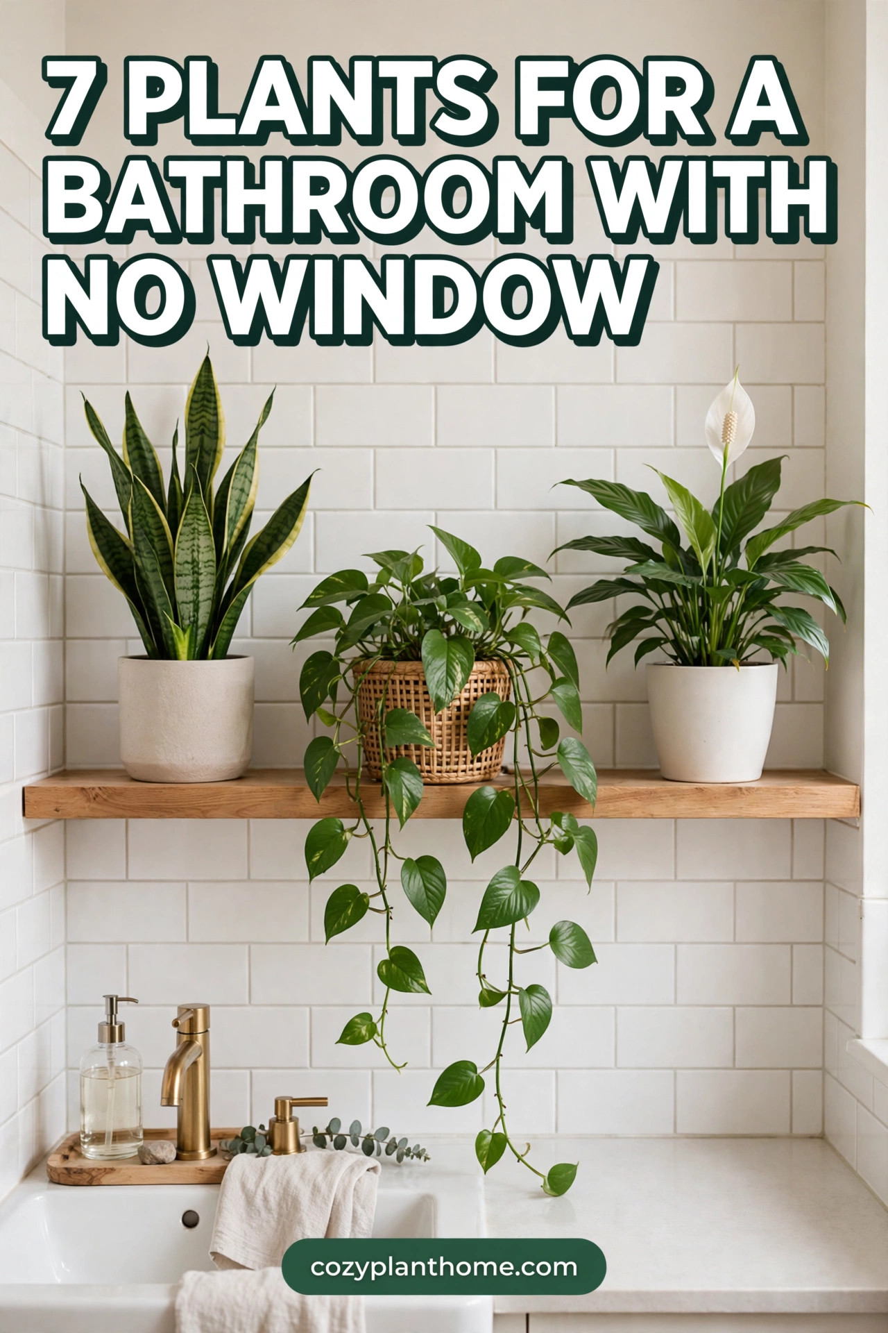 A windowless bathroom has humidity plants love but zero natural light. This guide explains the honest fix (a simple grow light or a two-plant rotation) and lists five low-light plants that can handle it: snake plant, ZZ plant, cast iron plant, pothos, and peace lily, with care cards and pet-safety notes for each. Save this pin before you buy your bathroom plants.